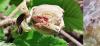 340114 – Photo : Emilien TEULIER – France (82)